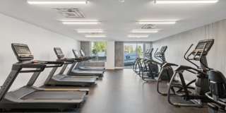 South Falls Tower Gallery 9