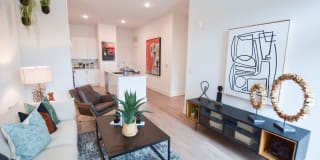 The Ivy at Ariston Gallery 15