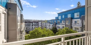 Dexter Lake Union Gallery 20