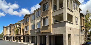 Ridgestone Gallery 23