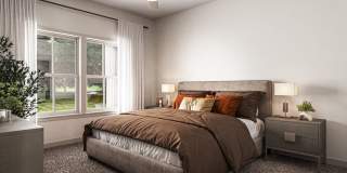 Allier Heartwood Gallery 6