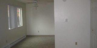 Carleton Terrace Gallery 7