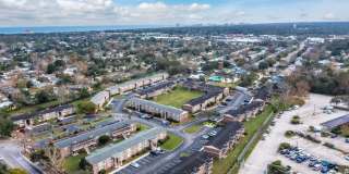 Sea Oats Sea Oats Gallery 18