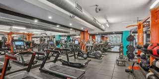 The Arnold Gallery 14