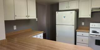 Spacious 4-Bedroom Home with Finished Basement & Large Backyard! Gallery 8
