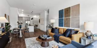 The Elmwood Gallery 7
