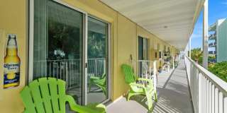 Dolphin Beach Gallery 19