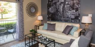 Infinity on Sunnyvale Gallery 1