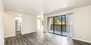 Forest Hill Village Gallery 17