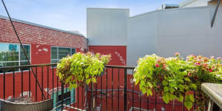 1008 N LARRABEE Street Gallery 11