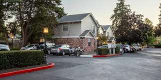 Fir Grove Gallery 5