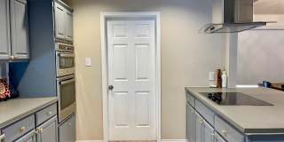 29608 TERRA VIS Gallery 9