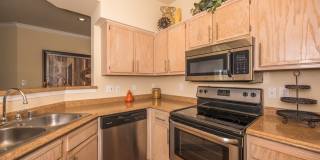 Sonterra at Buckingham Gallery 1