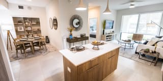 Eurus at Miramar Gallery 35