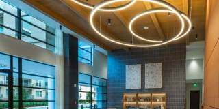 Encore Lakeside Gallery 6