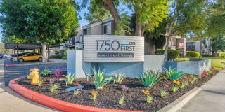 1750 On First Gallery 22