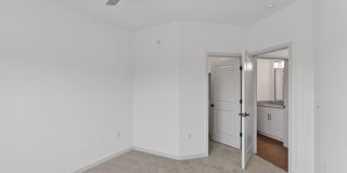 Pine and Parker Gallery 5