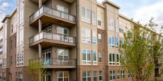 The Winthrop Gallery 24