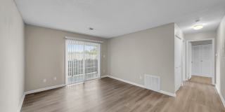 The Stella The Stella Gallery 17