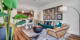 Chisholm at Tavolo Park Gallery 9