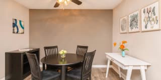 Sussex Downs Gallery 6