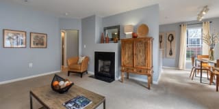 Pinnacle at Town Center Gallery 6