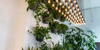 The Lofts at Gin Alley The Lofts at Gin Alley Gallery 12