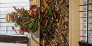 256 Union Avenue Southeast Gallery 33