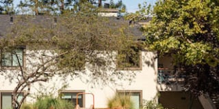 Sharon Green Gallery 41