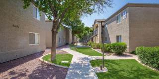 Palm Desert Gallery 25