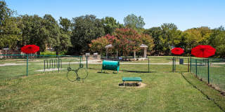 Bristol Grapevine Gallery 21