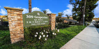 Grapevine Gallery 1