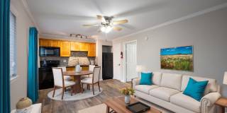 220 West Alabama Apartments Gallery 3