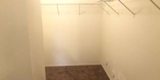 3 bedroom rental in Johnson Ranch Gallery 14