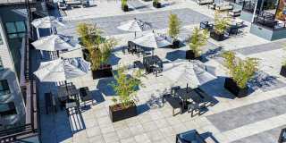 The Botanic Gallery 23