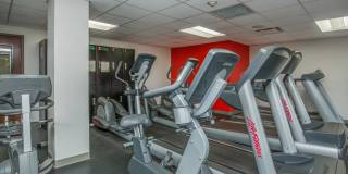 The Wellshire Gallery 28