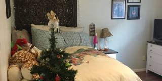 6851 Alvarado Road #16 Gallery 19