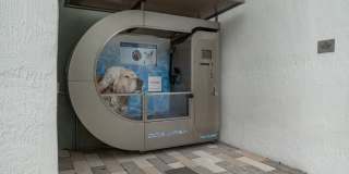 The Rise Flagler Village Gallery 34