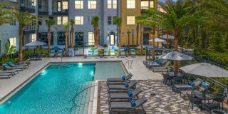 Seven41 Winter Park Gallery 4