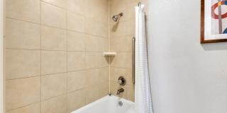 Vivo Living Charlotte Gallery 33