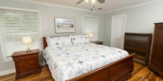 222 Forest Trail Gallery 16