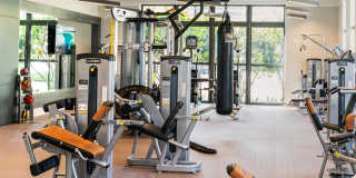 The Whitney Gallery 24