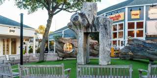 Larkspur Courts Gallery 38