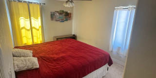 Eco-Friendly 4BR 2.5Bath House in Las Vegas Gallery 19