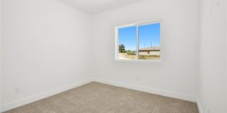 2001 S Dandelion Street Gallery 24