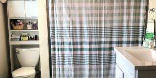 12 Austin St. Gallery 4