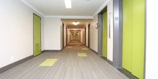 Lofts on Ormsby Gallery 21