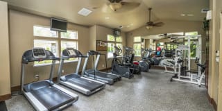 Rocklin Ranch Gallery 29