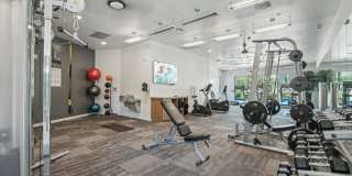 Palms Luxury Apartments Gallery 31