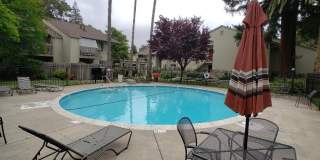 2 Bed 2 Bath Condo In Walnut Creek Gallery 15